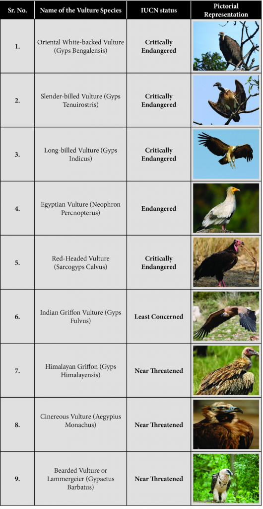 Vulture Conservation – IAS4Sure