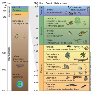 Geological Time Scale – IAS4Sure